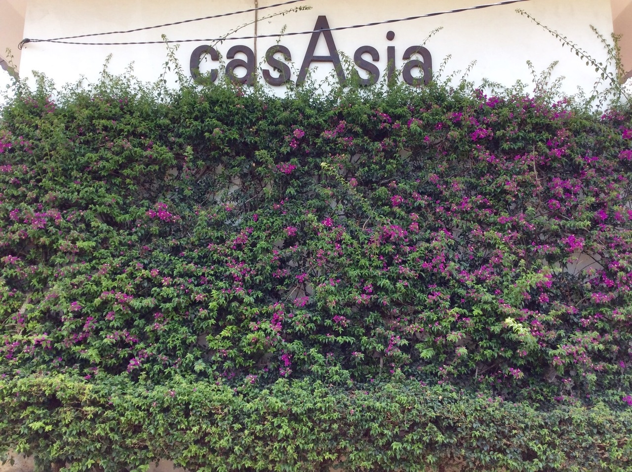Casa Asia Ungasan