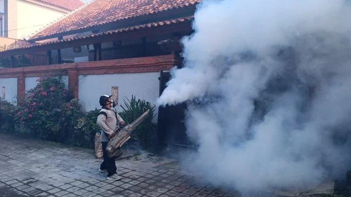 The Number of Dengue Cases in Denpasar has Increased Eightfold