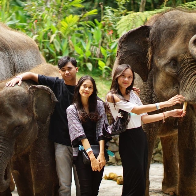 Taman Satwa Tabanan Wildlife Park