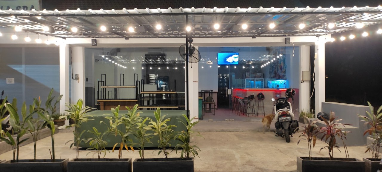 KNOCKOUT BAR