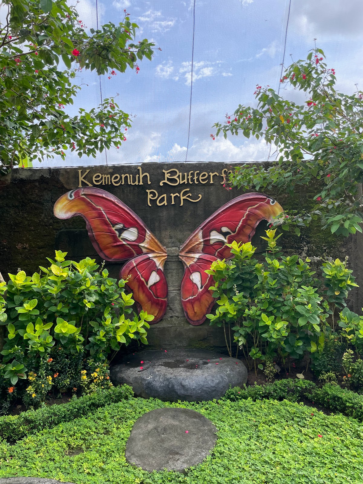 Zoo Kemenuh Butterfly Park, Bali 142933