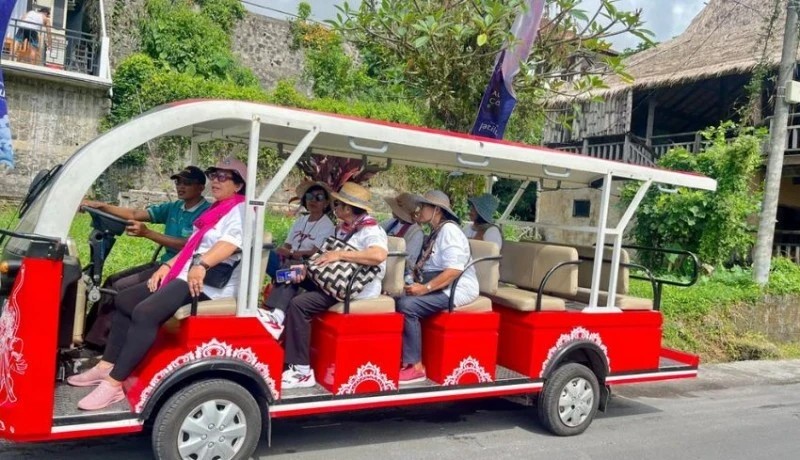 Jatiluwih's Rice Terraces Now Offer Tourists an Electric Bus Experience!