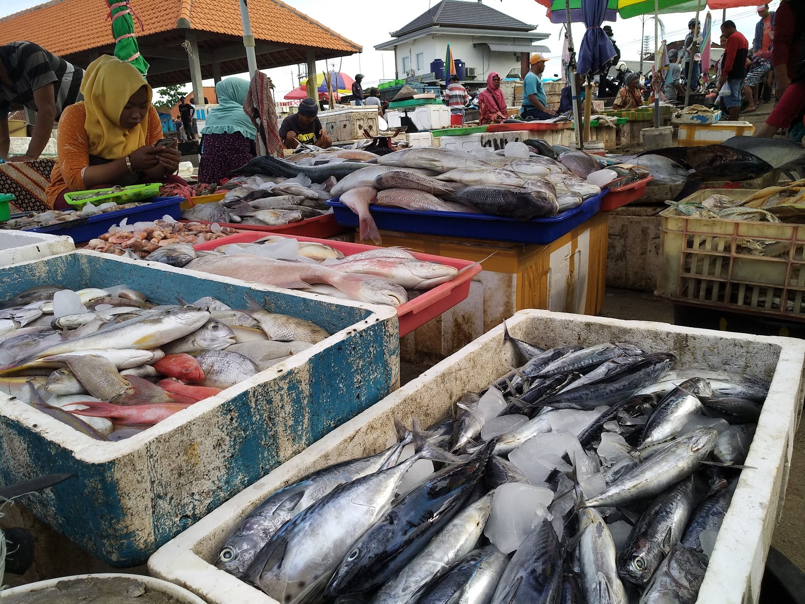 Market Kedonganan Fish Market 100514