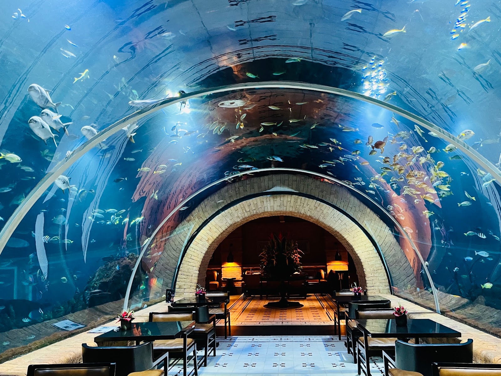 Koral: Bali's First Aquarium Restaurant