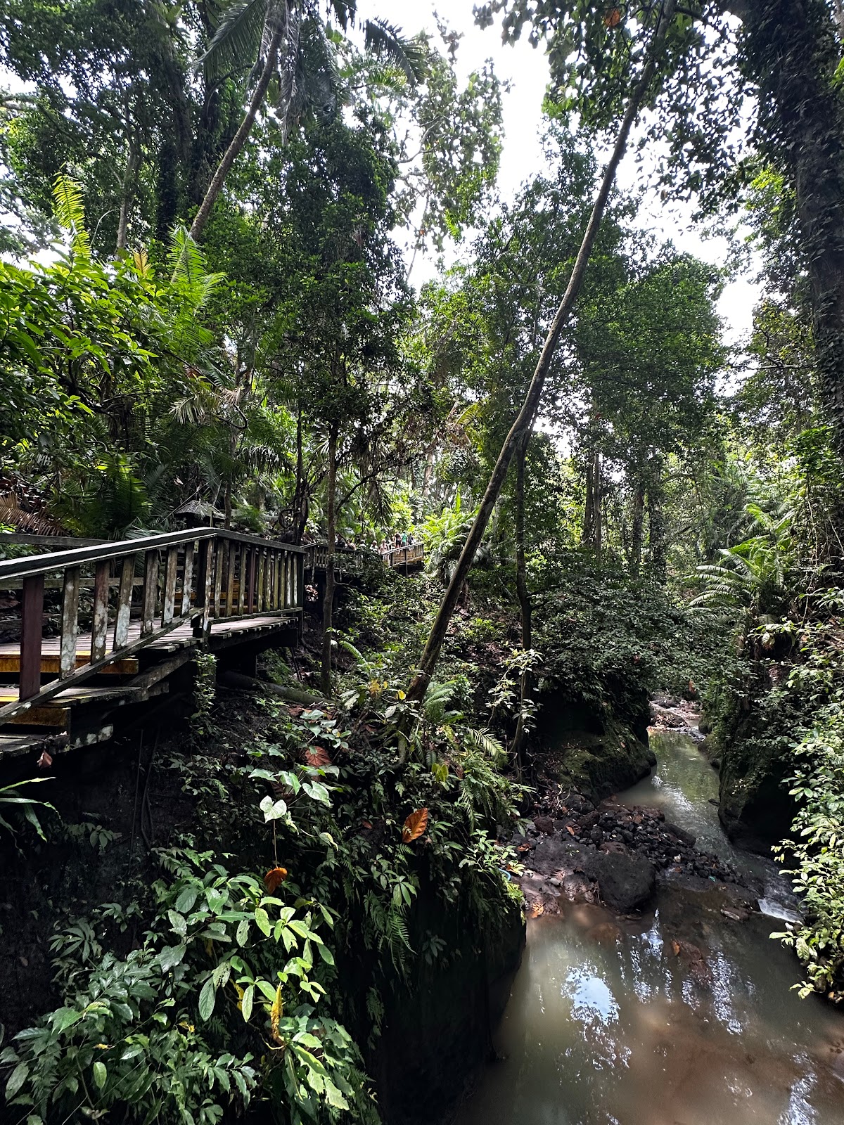 Park Sacred Monkey Forest Sanctuary 143750