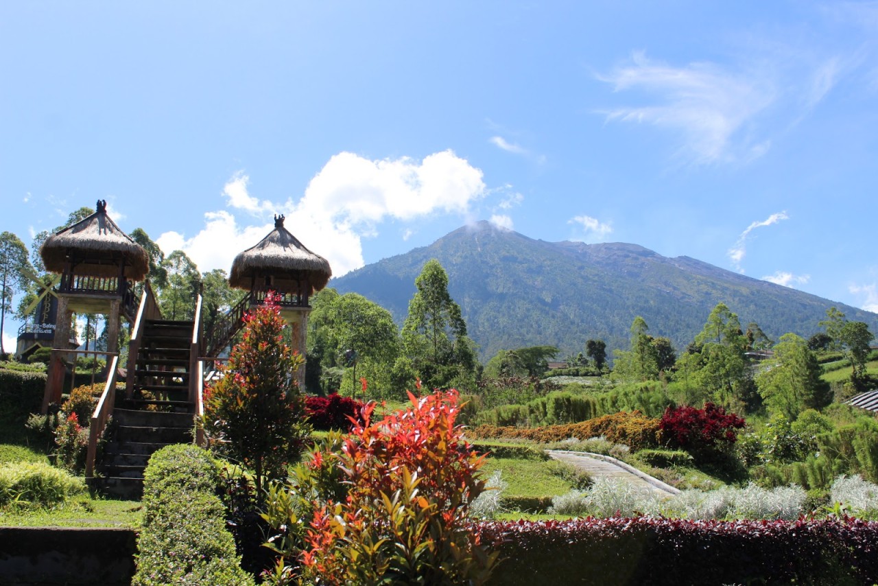 Floral Plantations in Desa Temukus