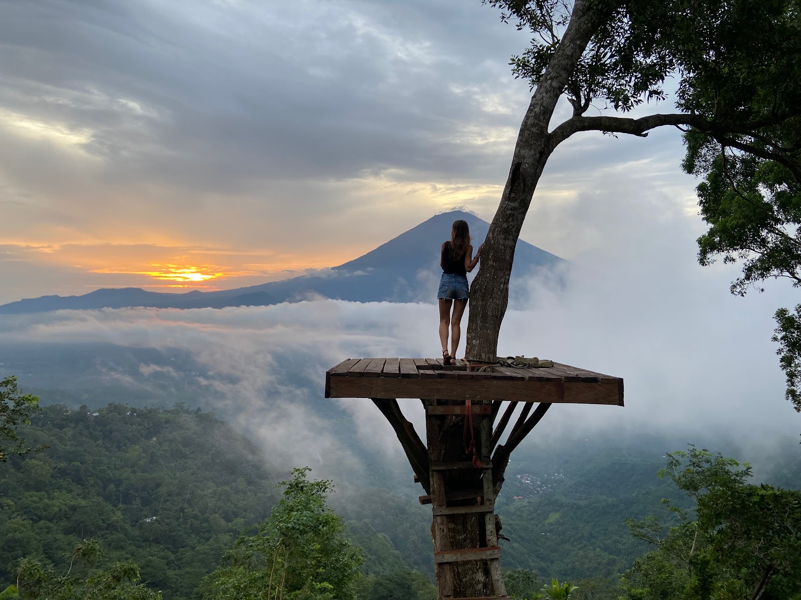 Viewing platform Lahangan Sweet 100583