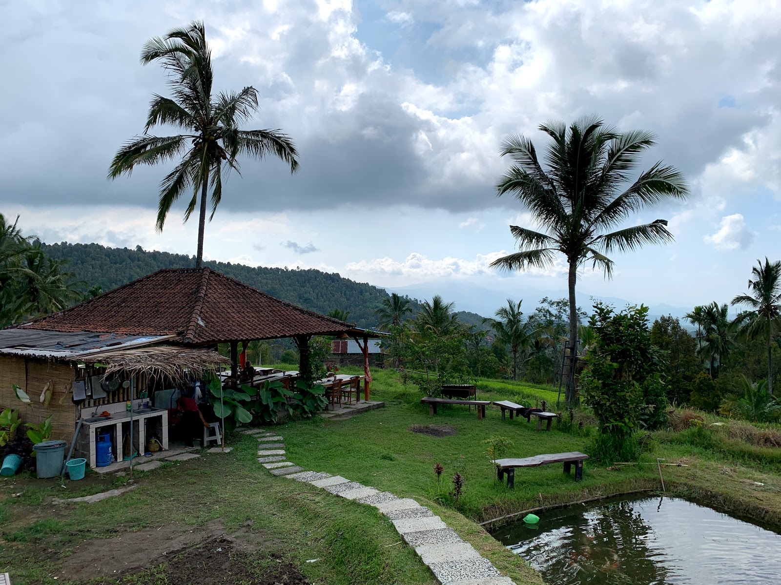 Land activities Munduk Rice Terraces 101669