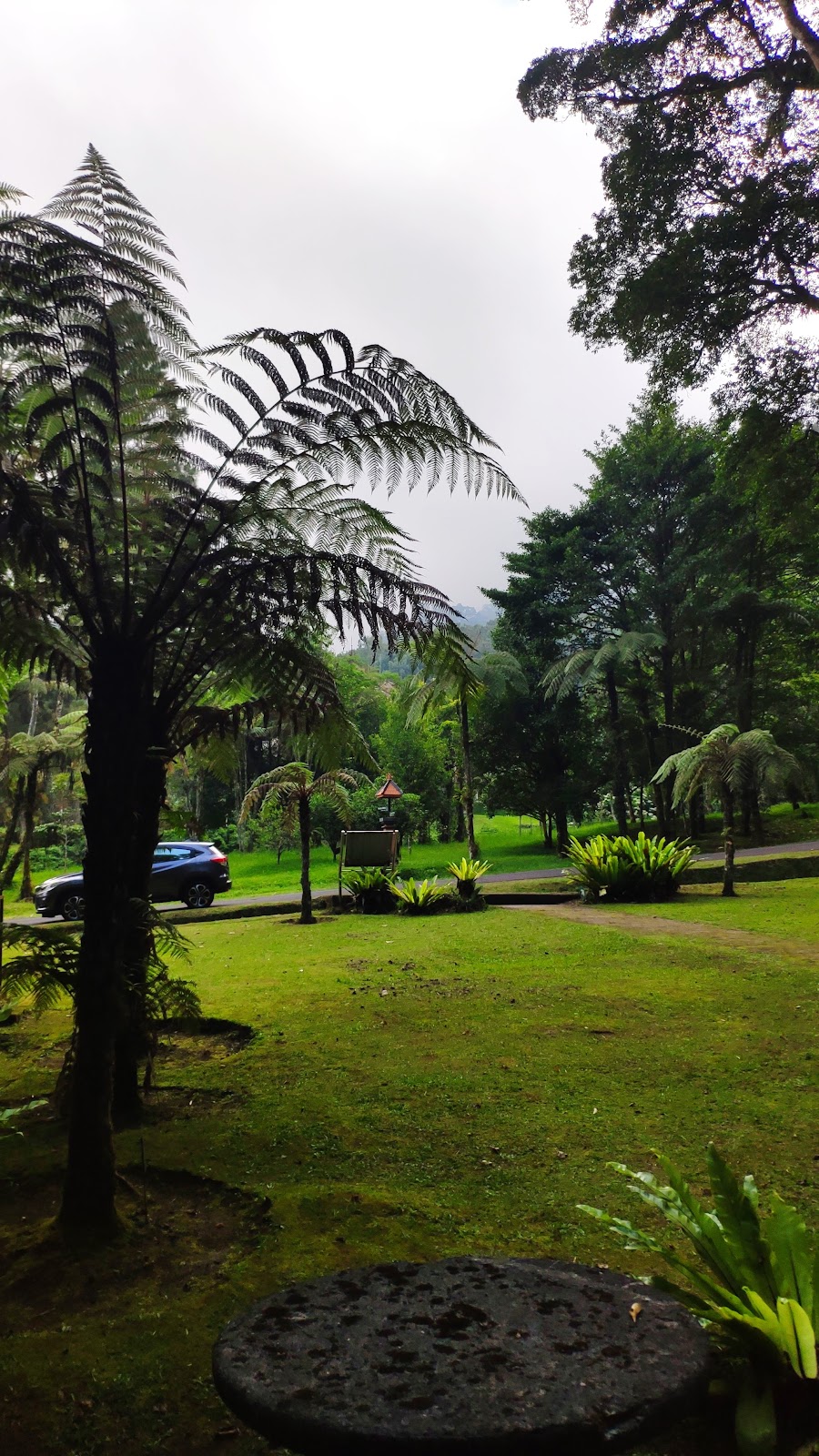 Walking route Kebun Raya Bedugul Botanical Garden 143644