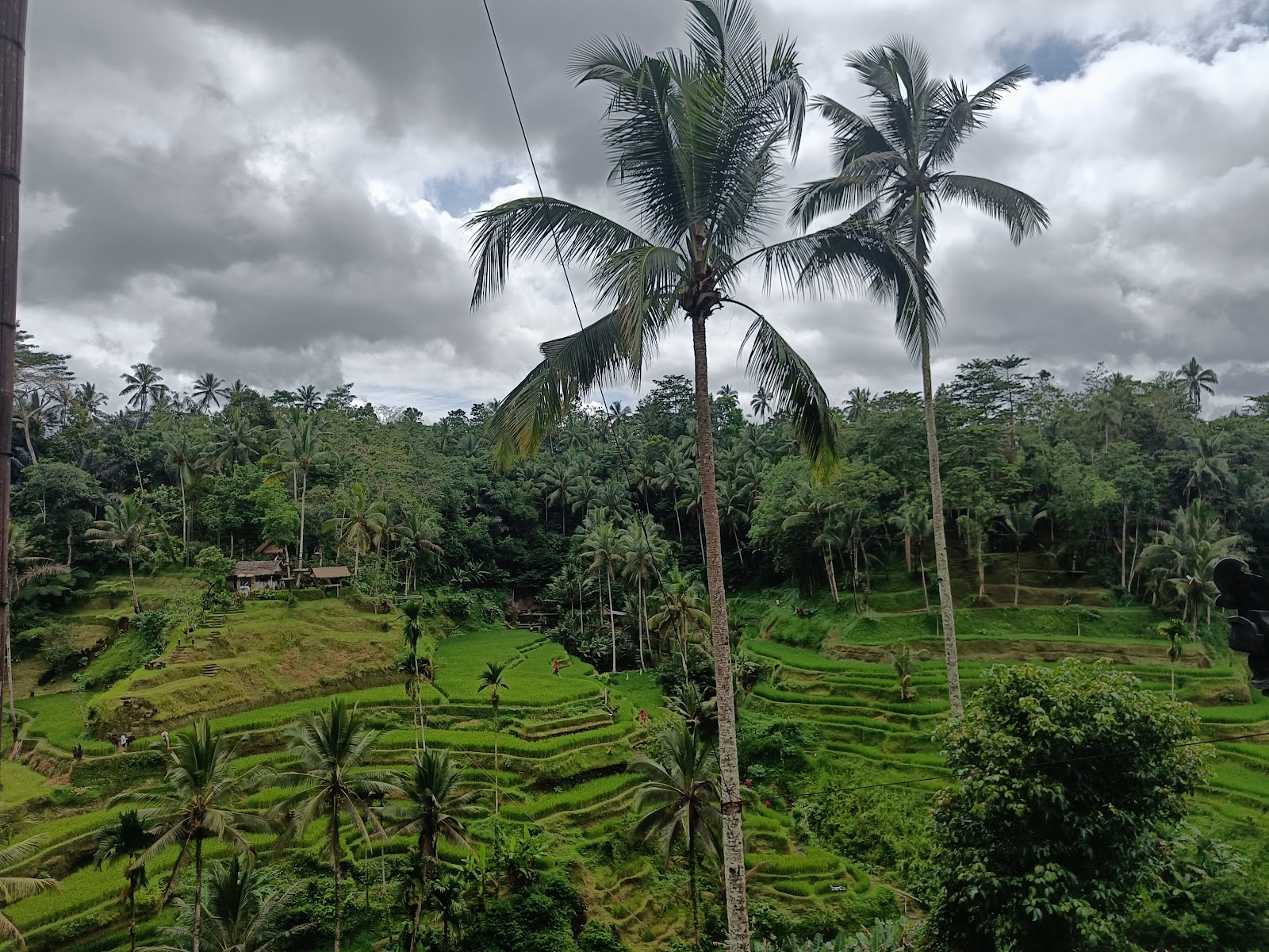 Campuhan Ridge Walk