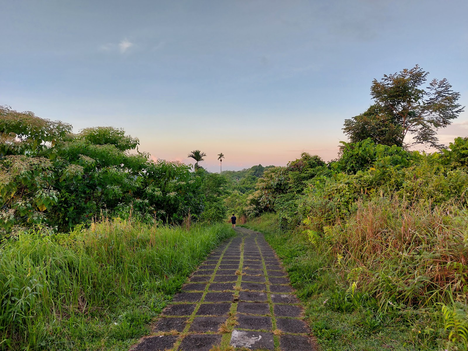 Walking route Campuhan Ridge Walk 143705