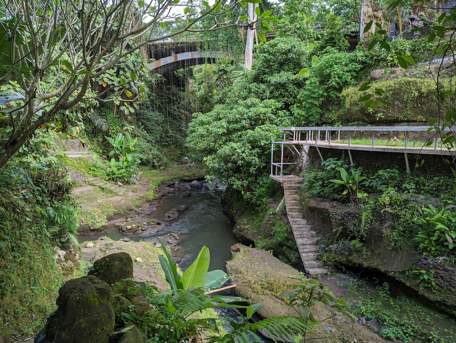 Campuhan Ridge Walk