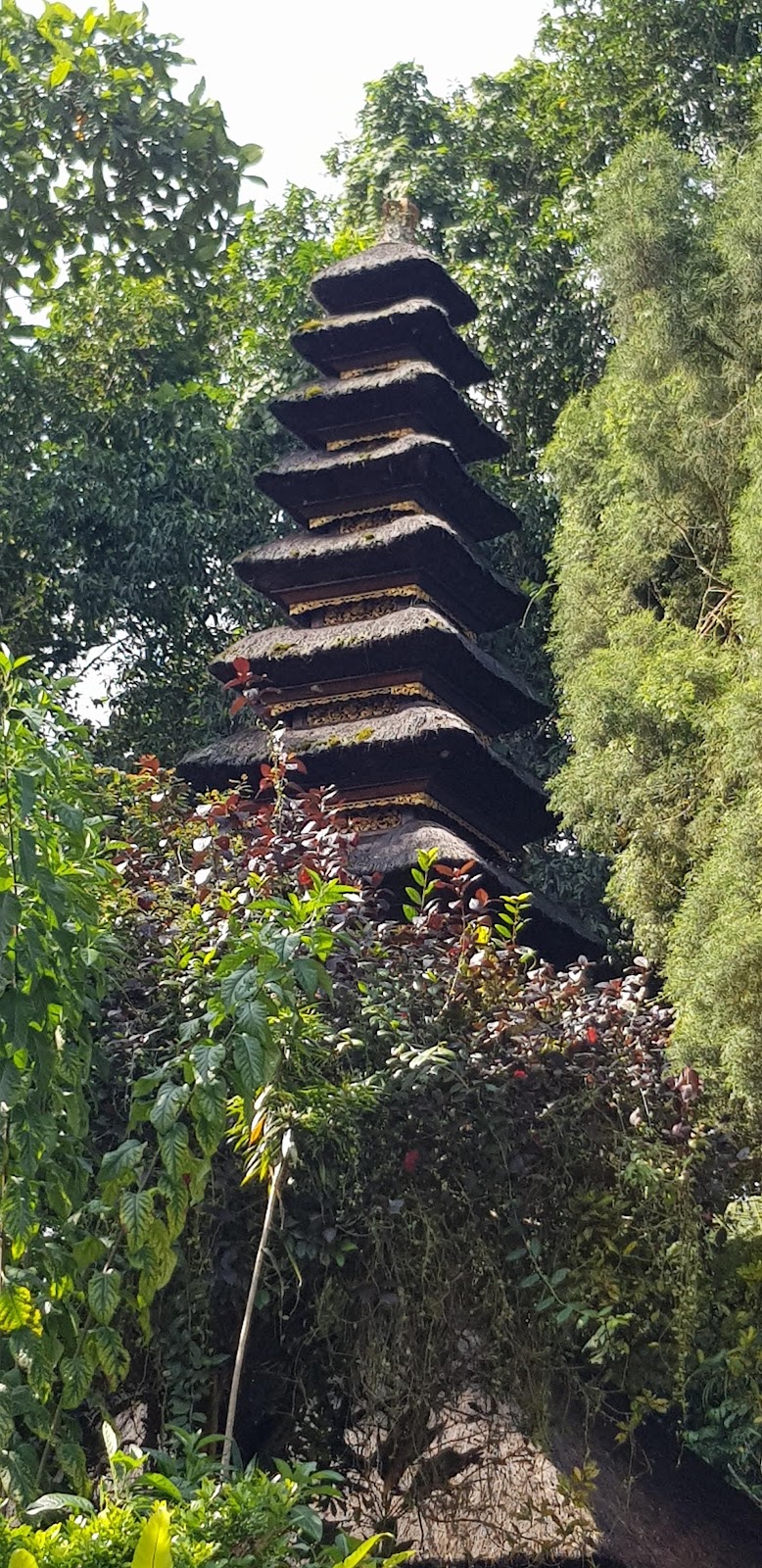 Tegallalang Rice Terrace