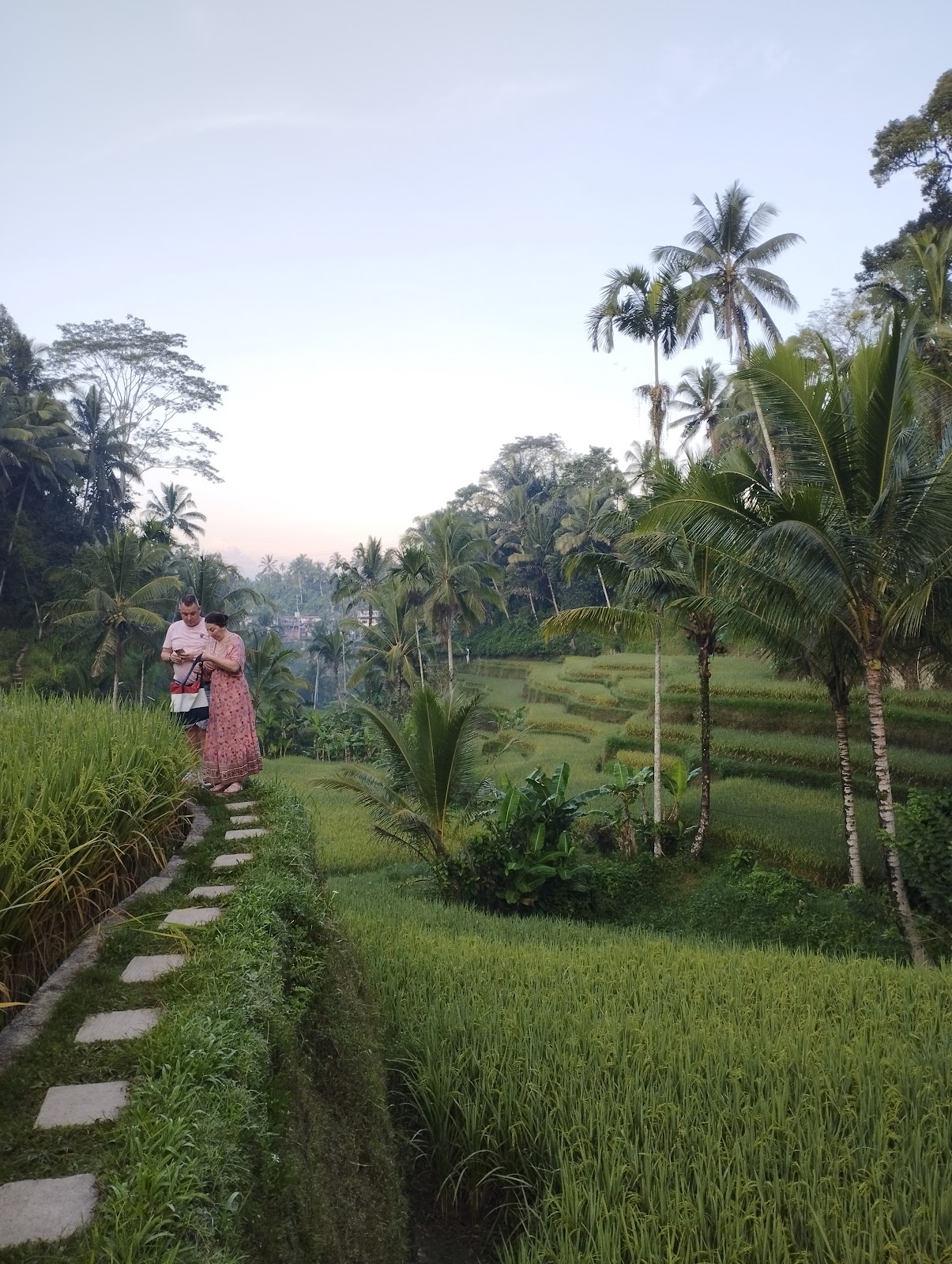 Tegallalang Rice Terrace