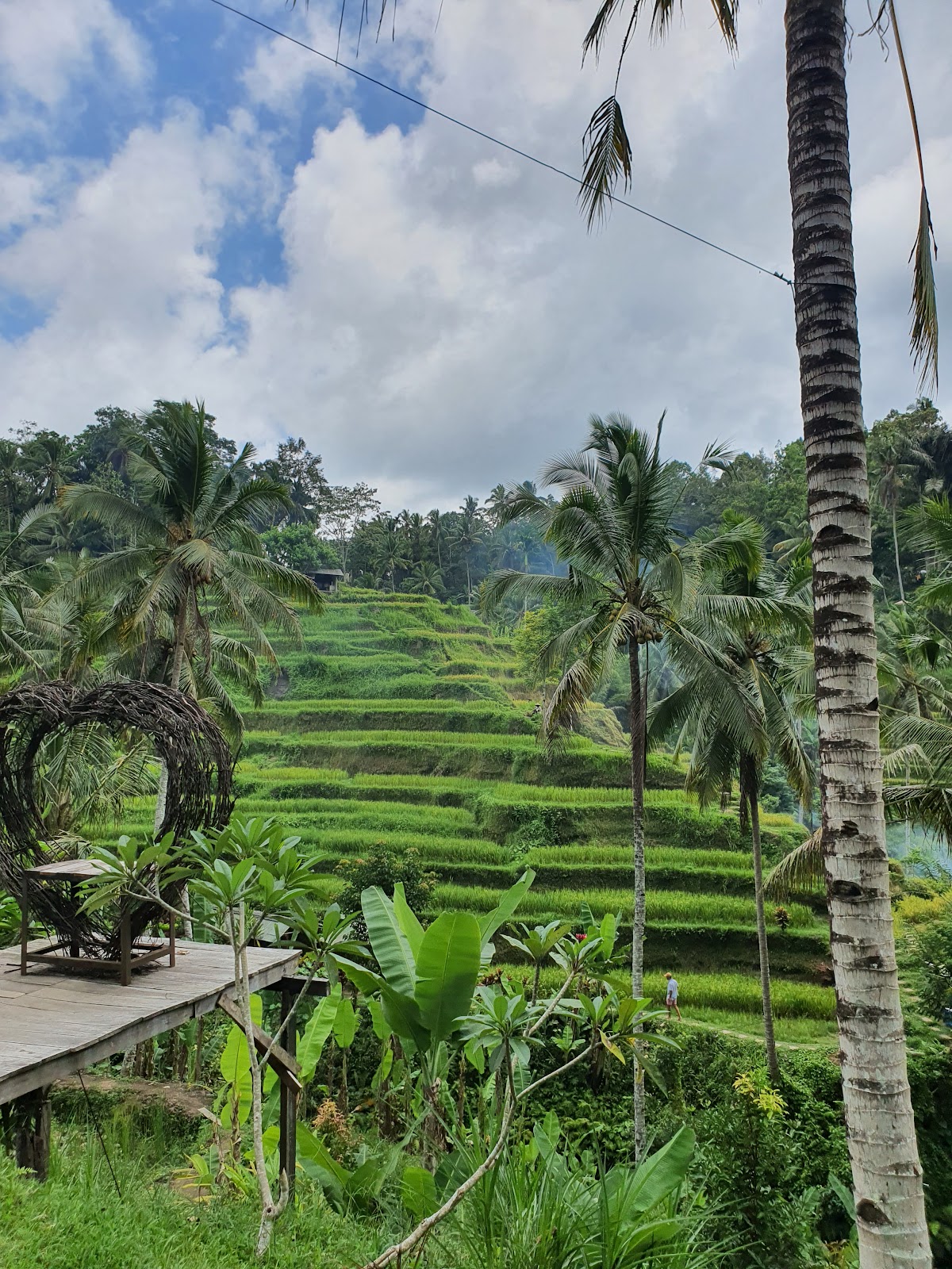 Walking route Tegallalang Rice Terrace 143205