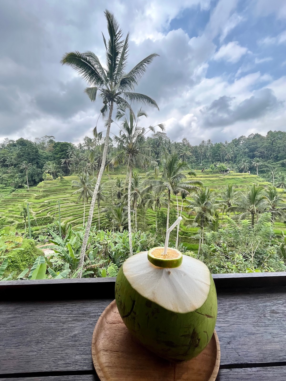 Tegallalang Rice Terrace