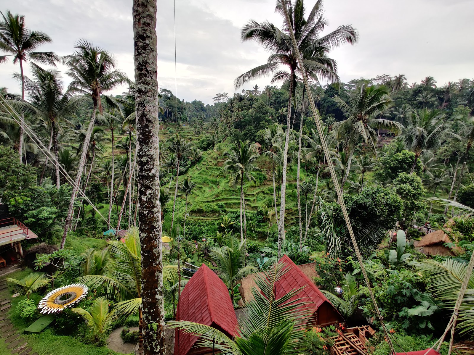 Walking route Tegallalang Rice Terrace 143206