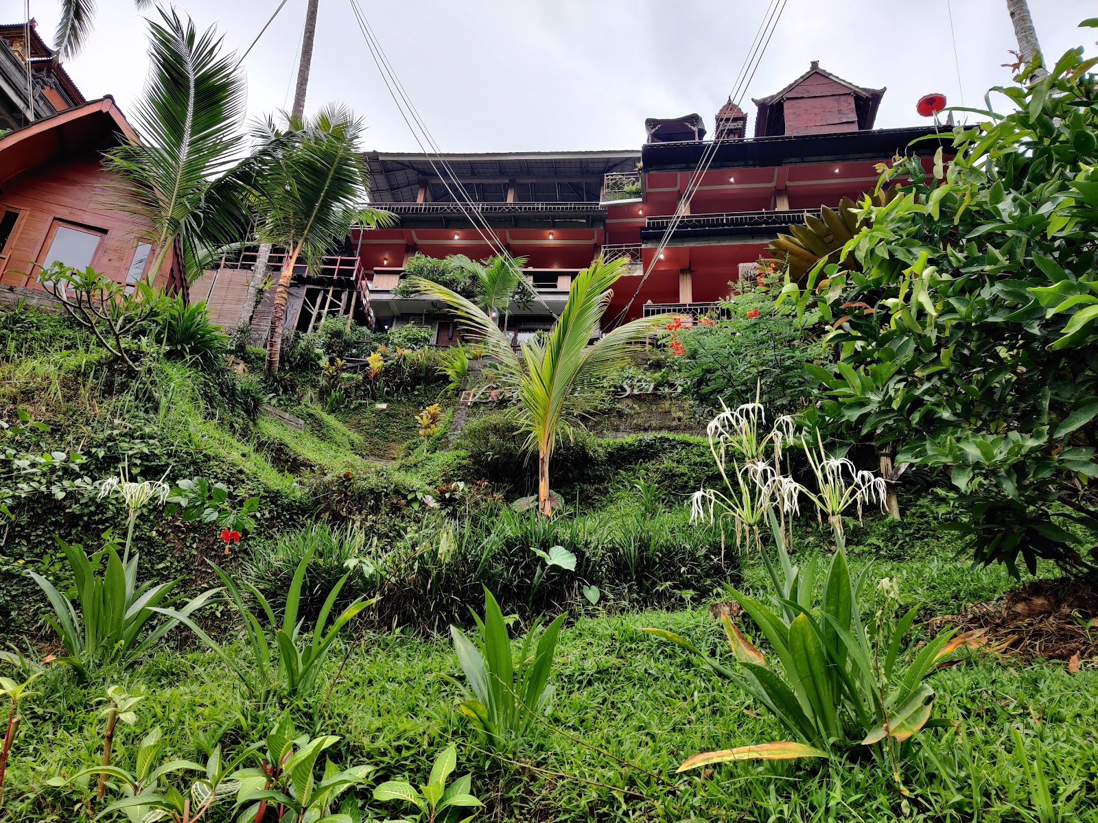 Tegallalang Rice Terrace