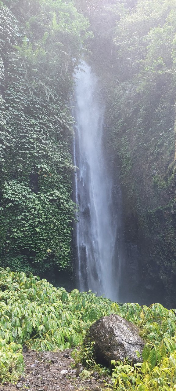 Fiji Waterfall Lemukih