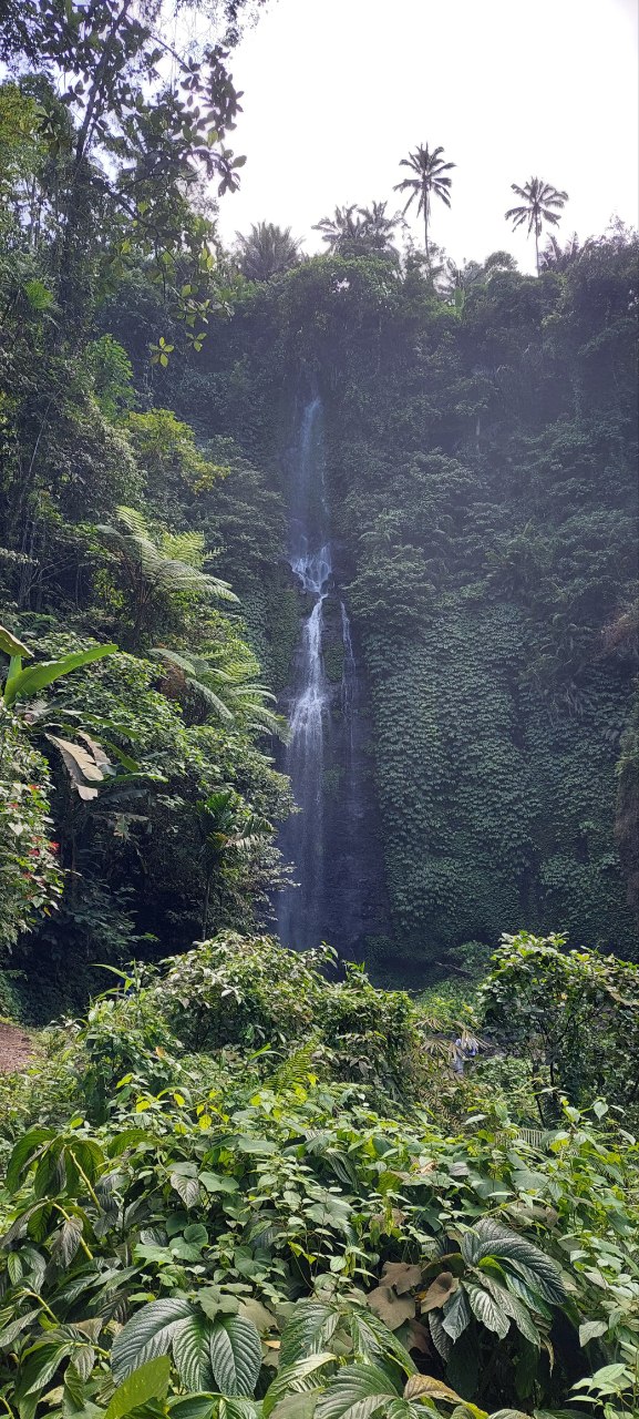 Fiji Waterfall Lemukih