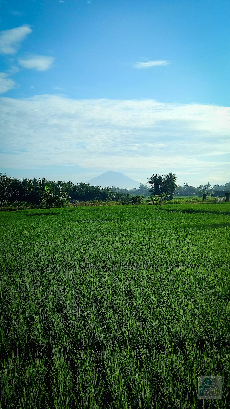 Mount Agung