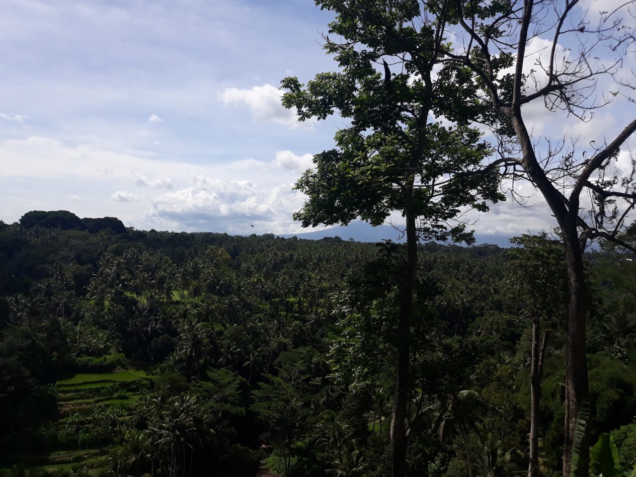 Sayan Point
