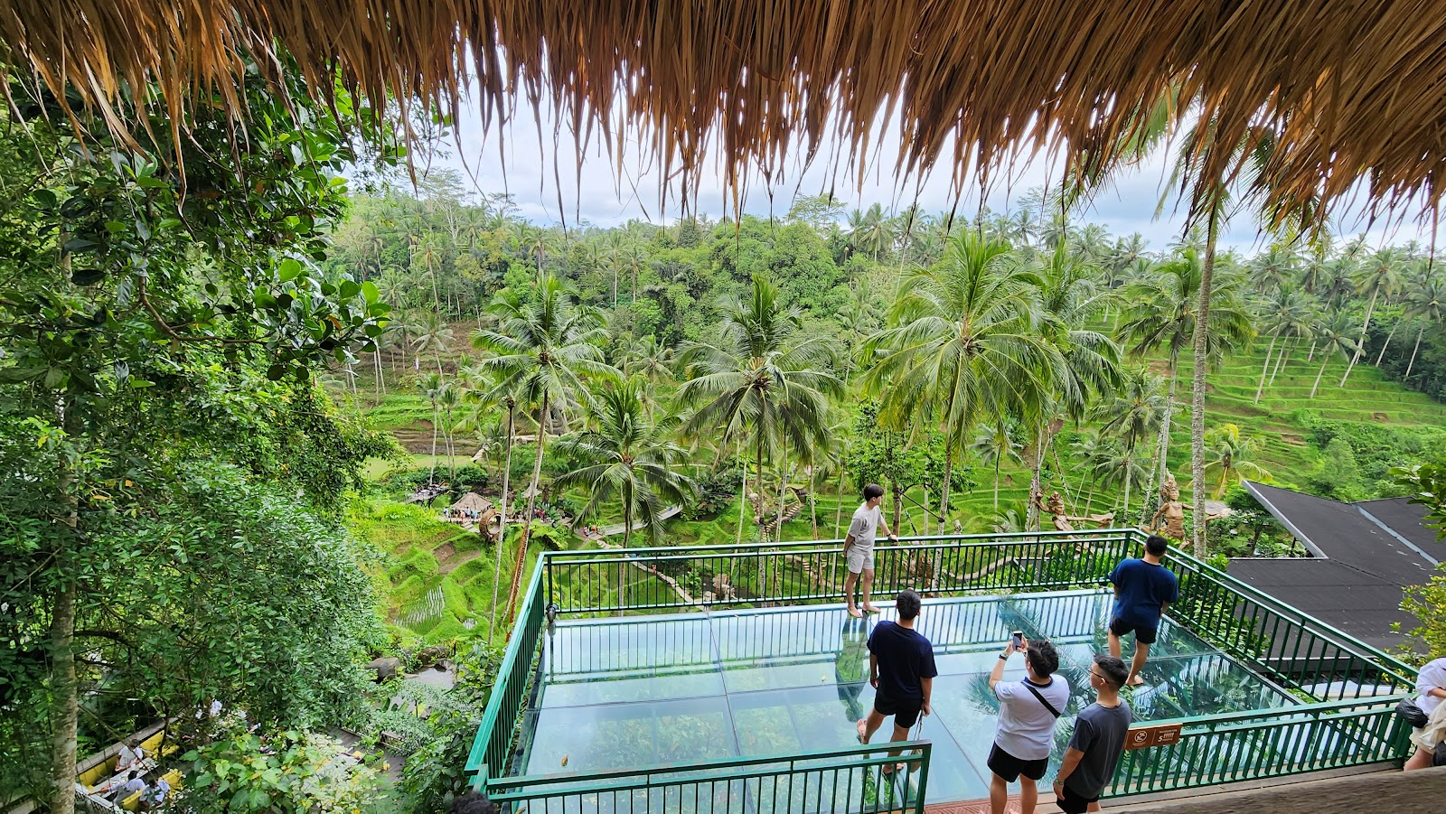 rice terraces Alas Harum Bali 143538