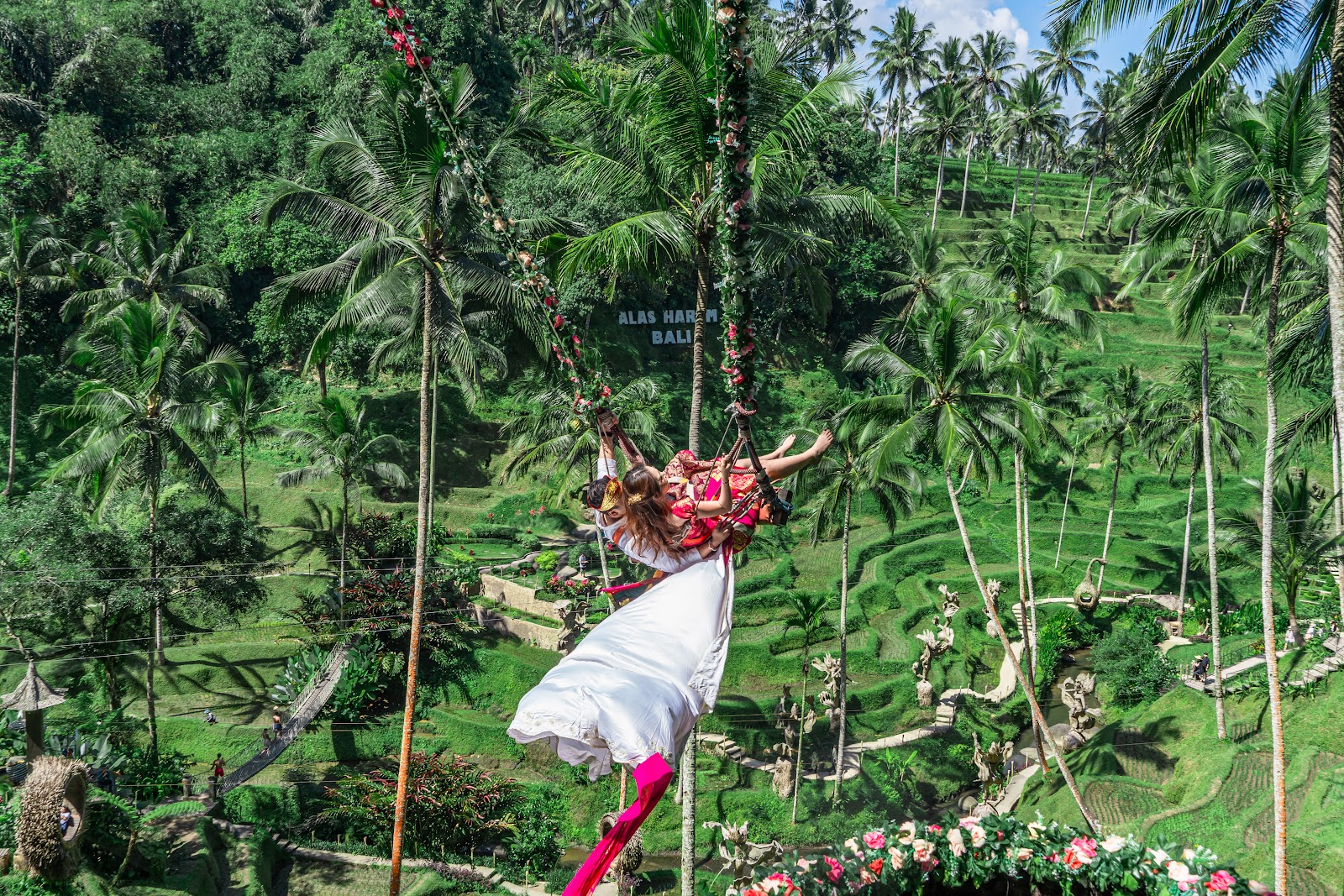 rice terraces Alas Harum Bali 143537