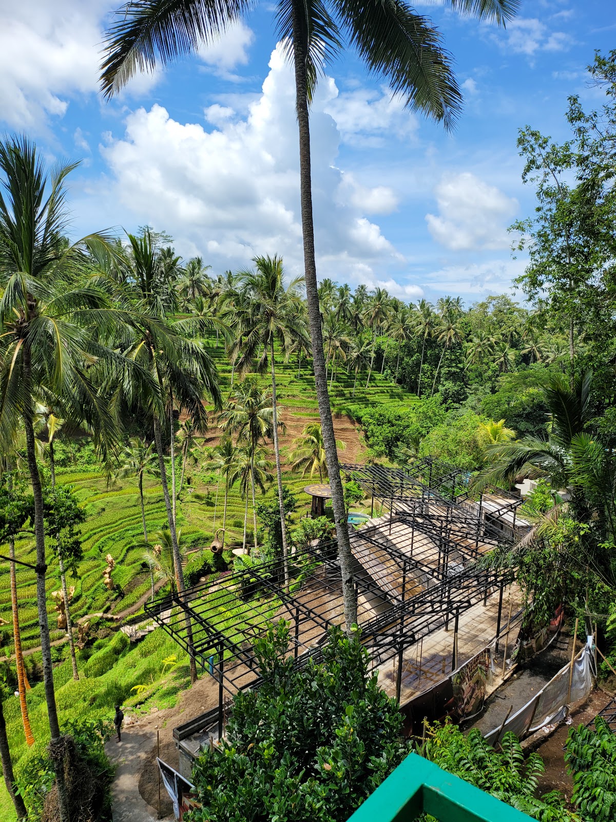 rice terraces Alas Harum Bali 143540