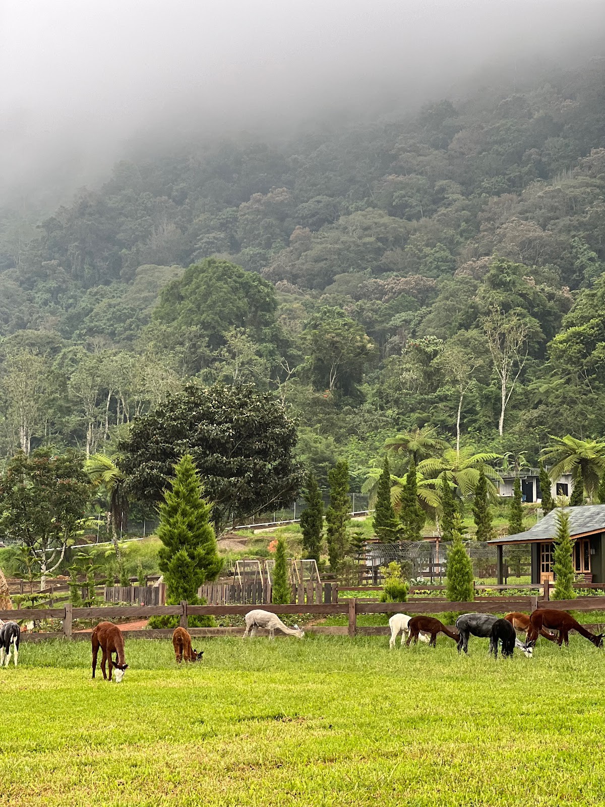 Bali Farm House