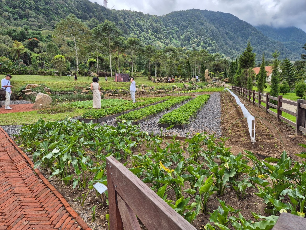 Bali Farm House