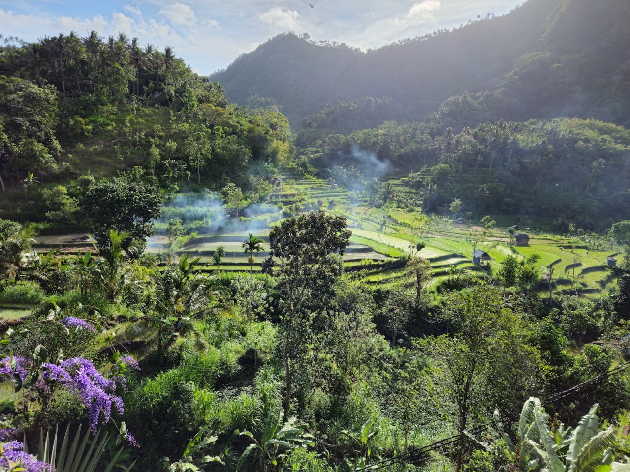 BERINA RICE TERRACE