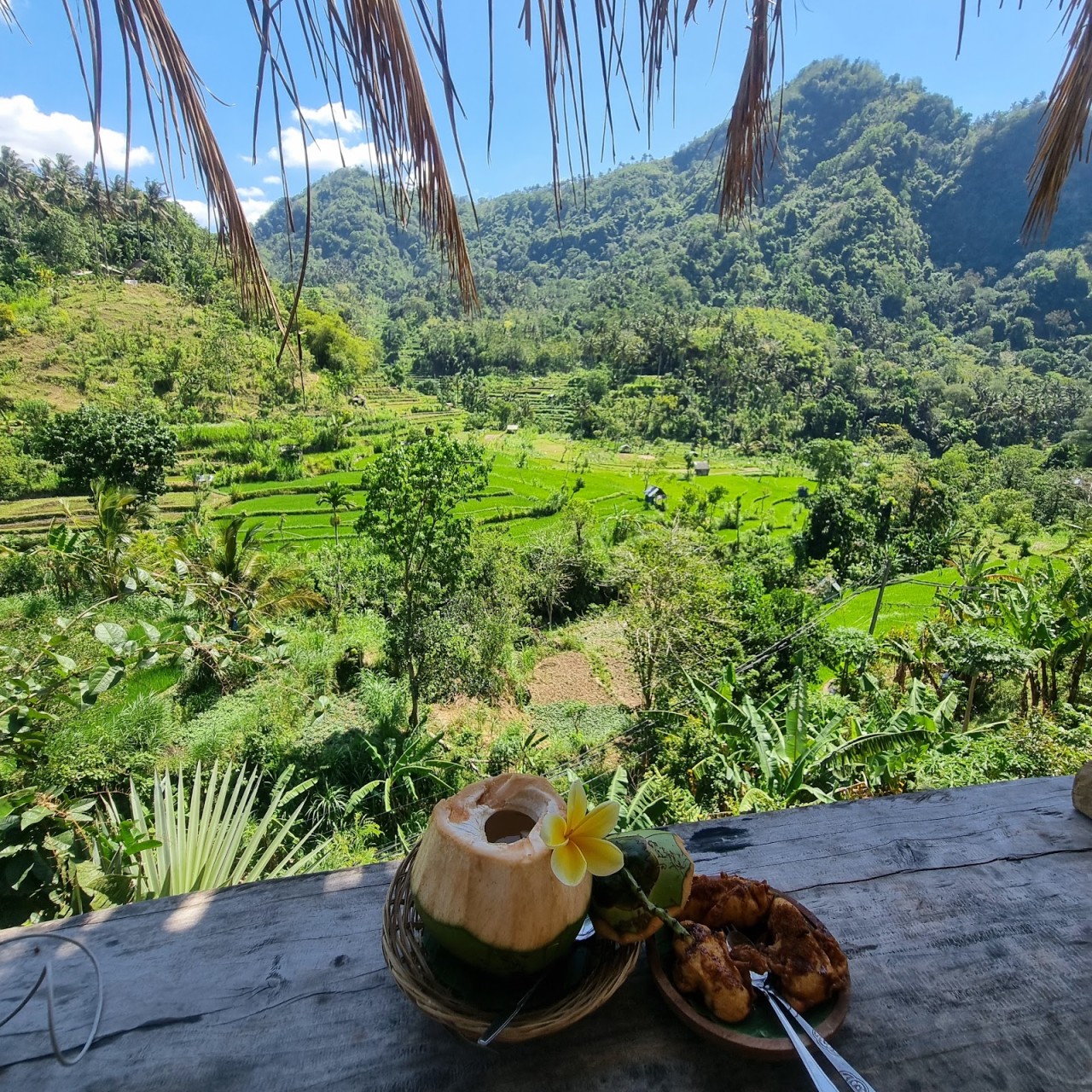 BERINA RICE TERRACE