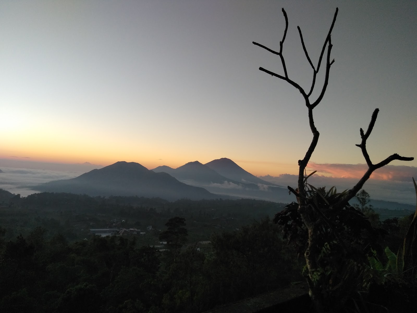 Restaurant The Viewpoint at Warung Pengkolan 104390