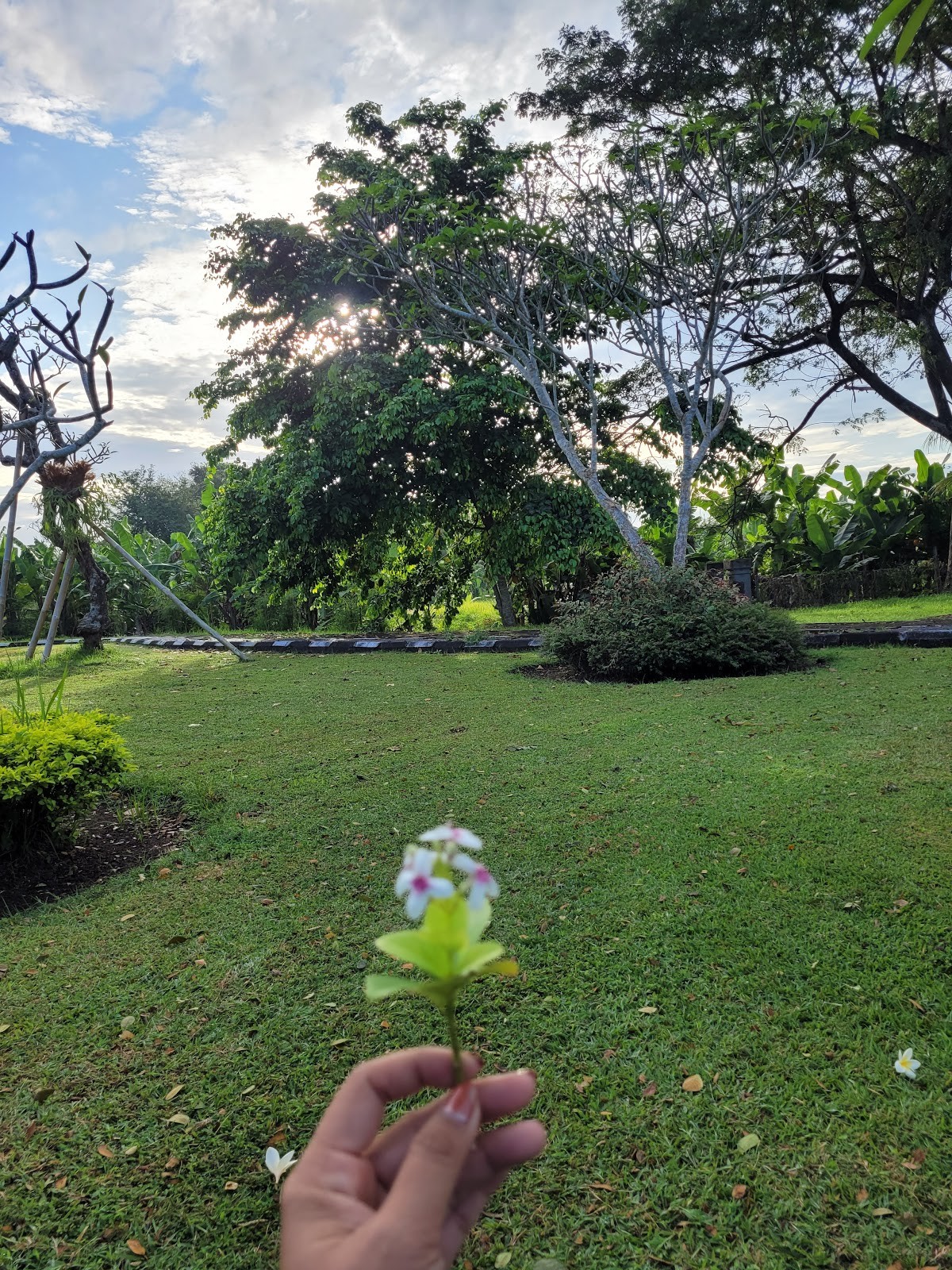 Badung Puspem Parking Lot