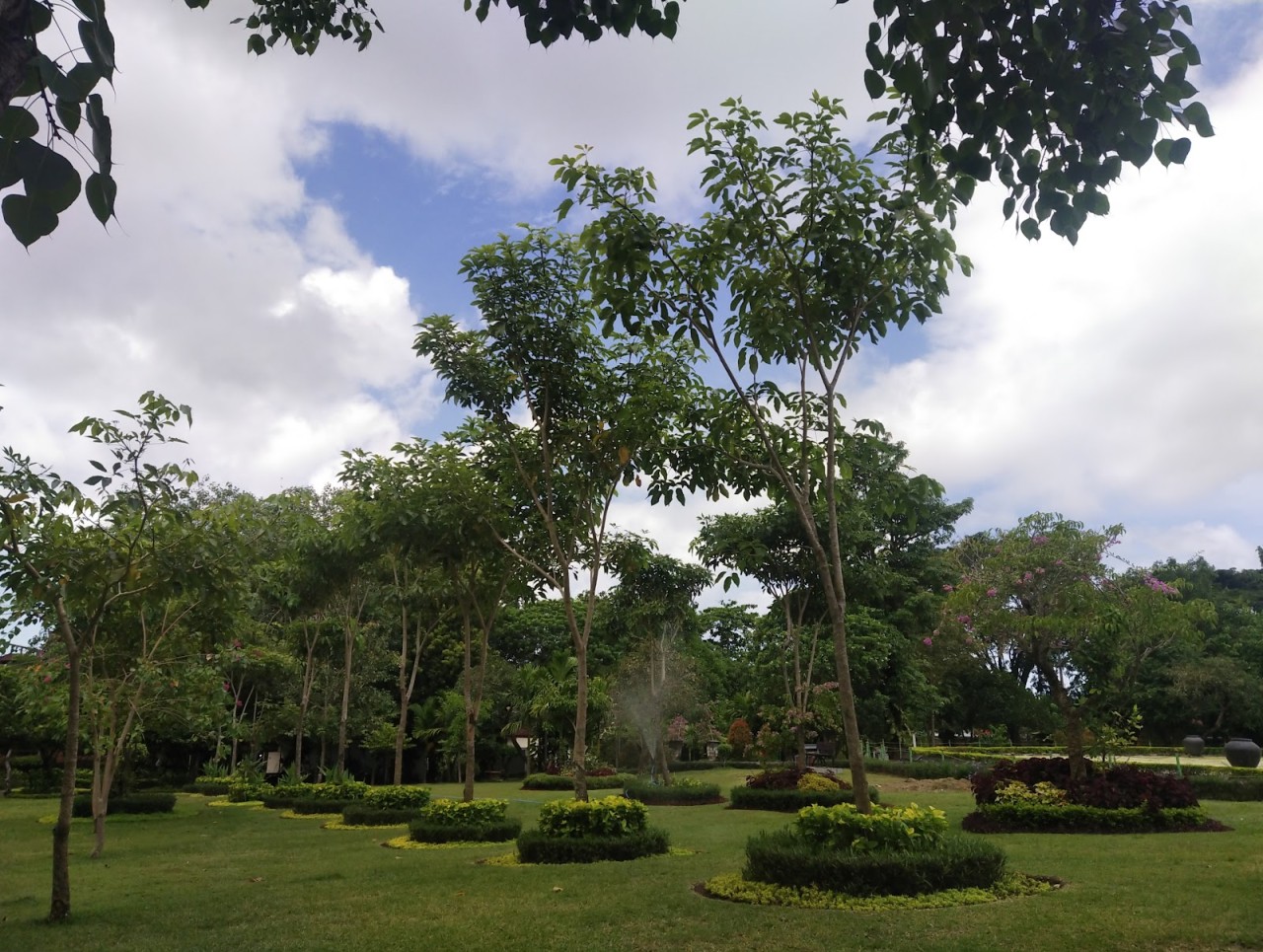 YOUTH PARK