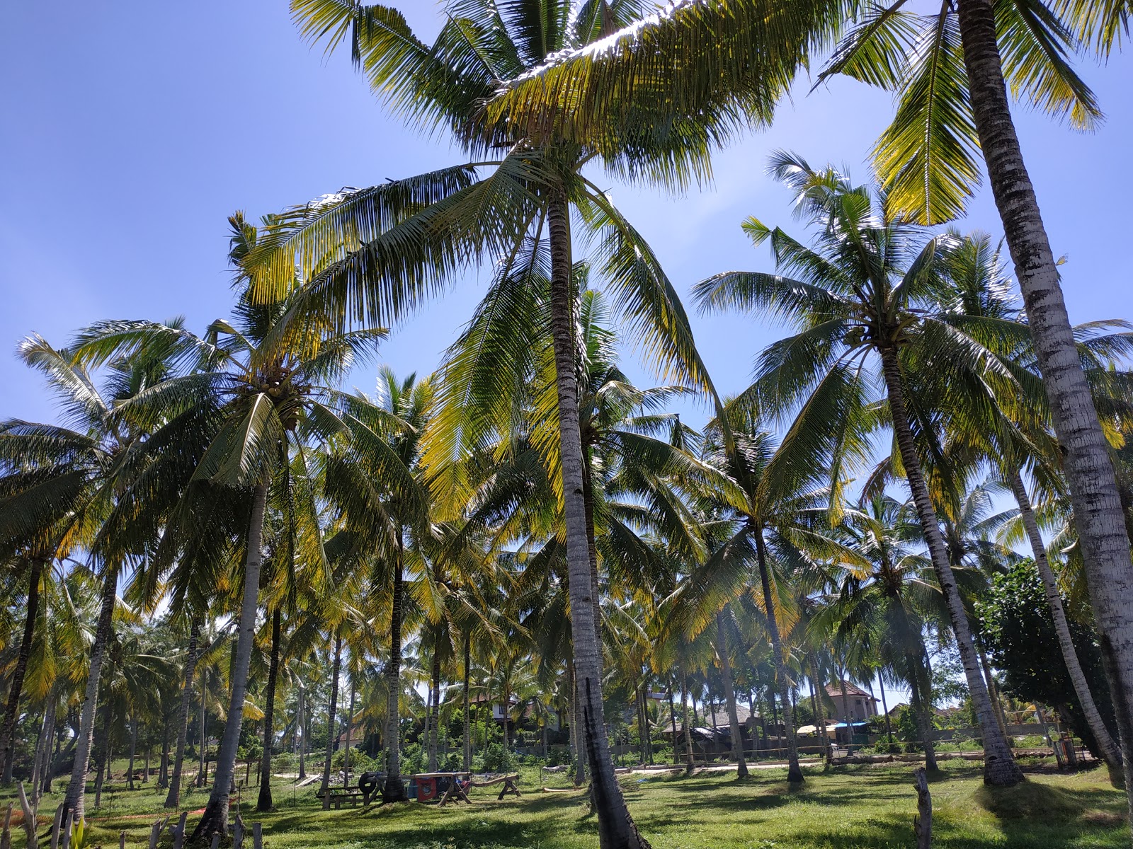 Medewi Beach