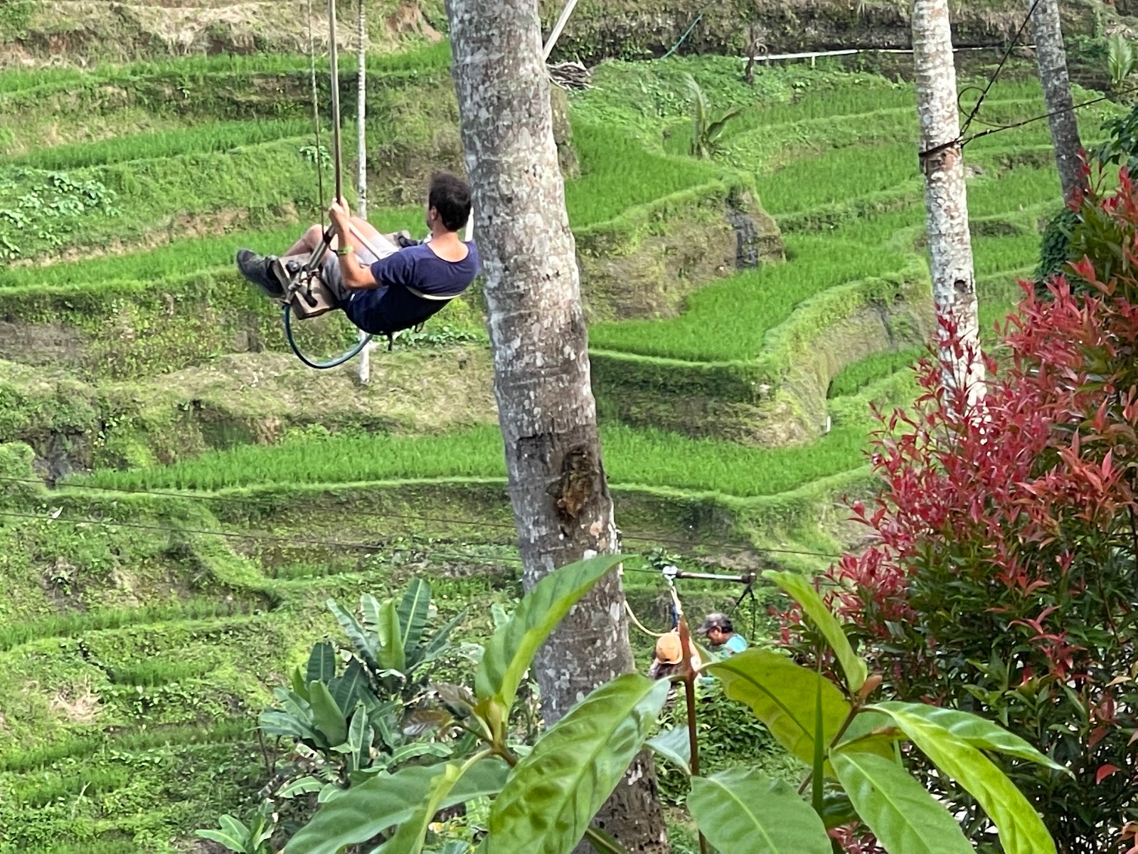 Walking route Abian Desa Rice Terrace 104352