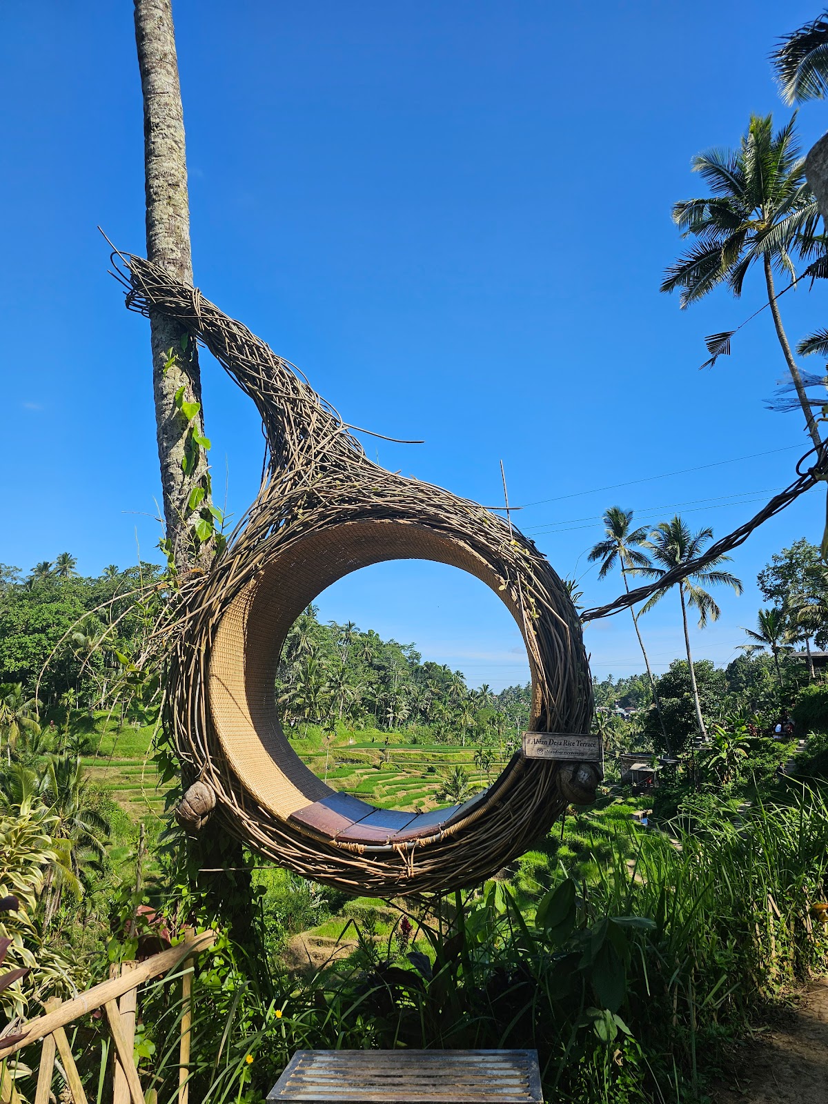 Abian Desa Rice Terrace