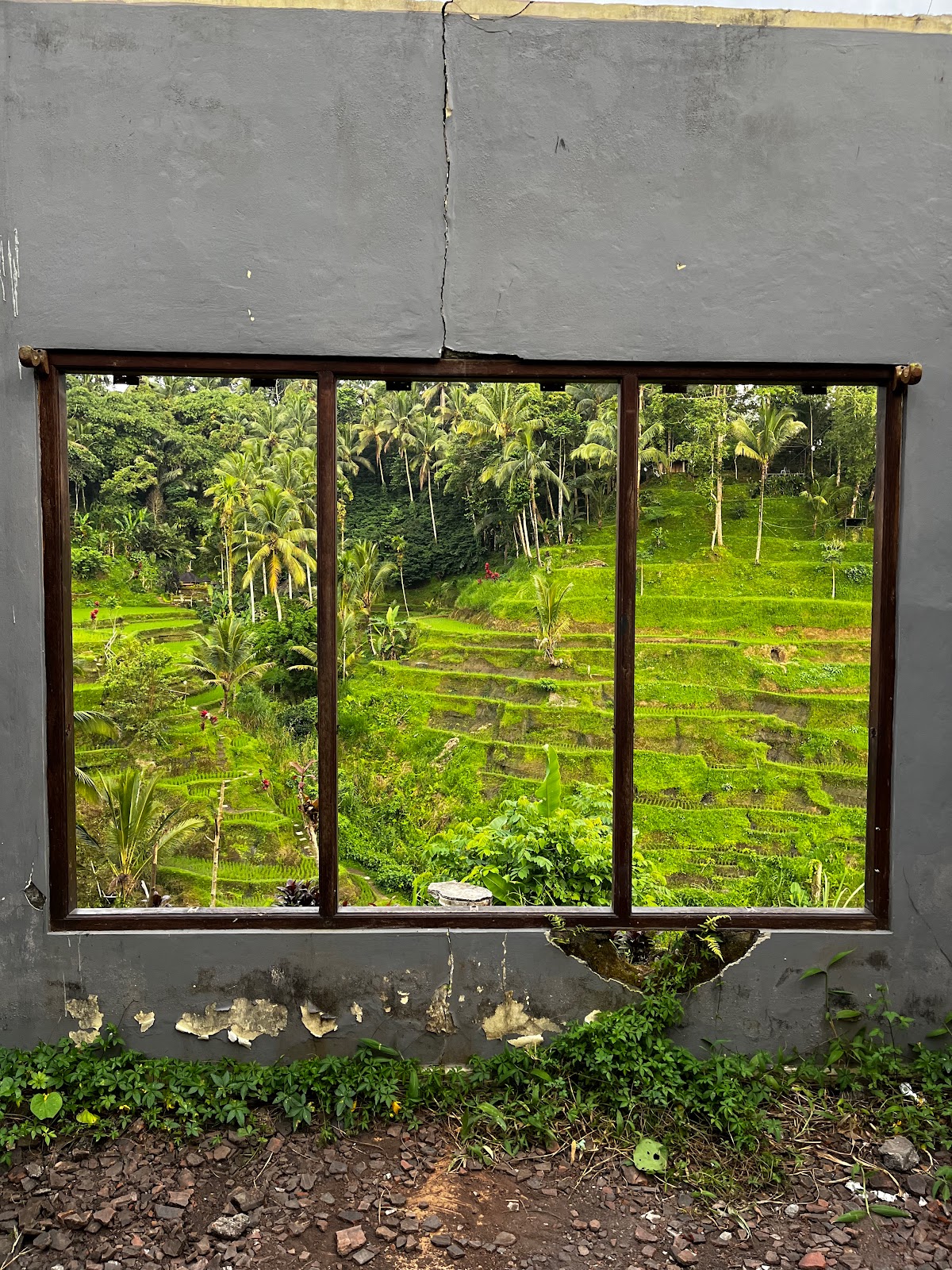 Abian Desa Rice Terrace