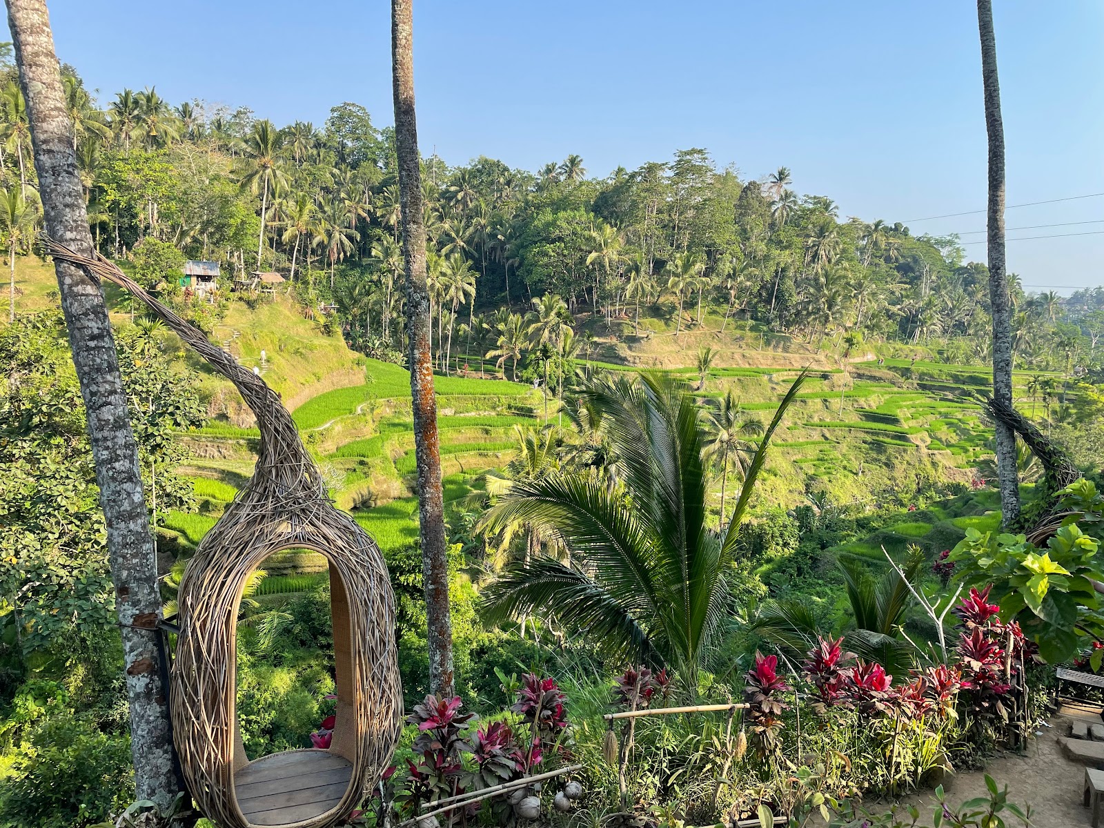 Walking route Abian Desa Rice Terrace 104349