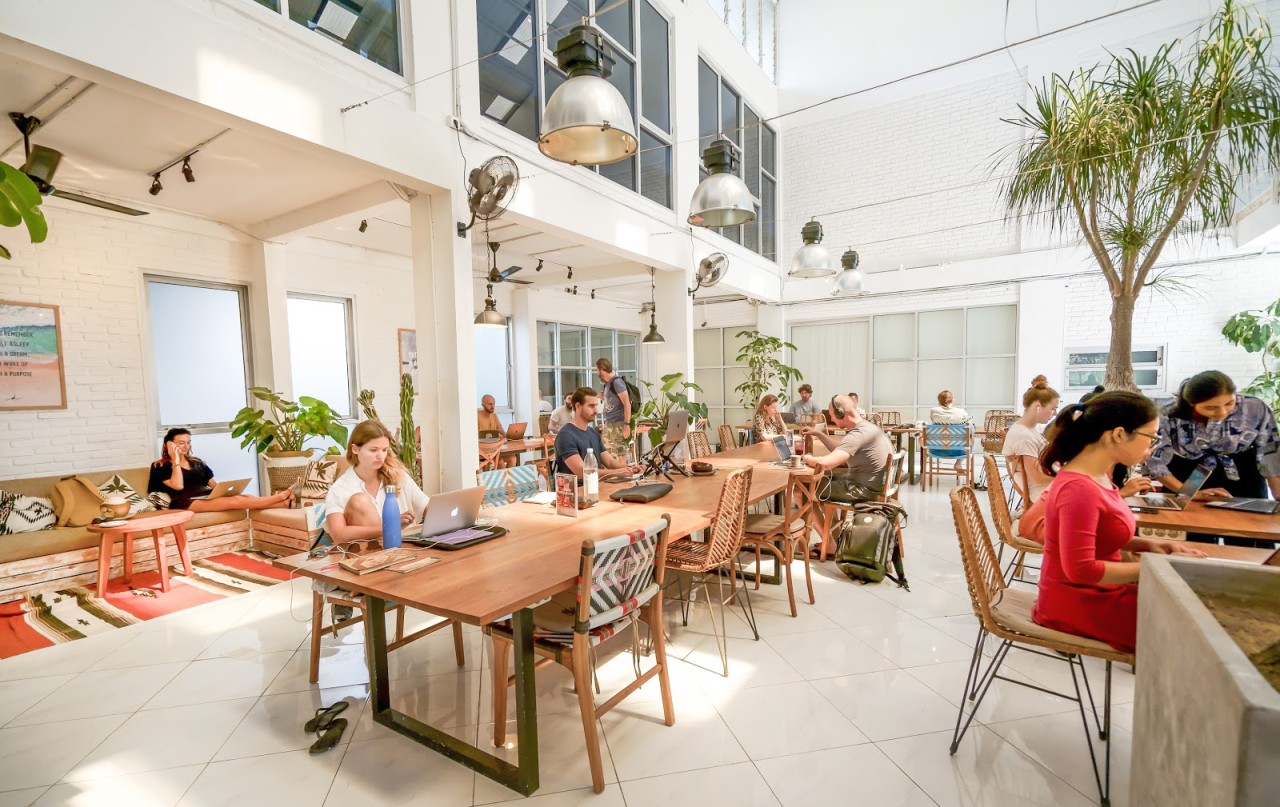 Tropical Nomad Coworking Space