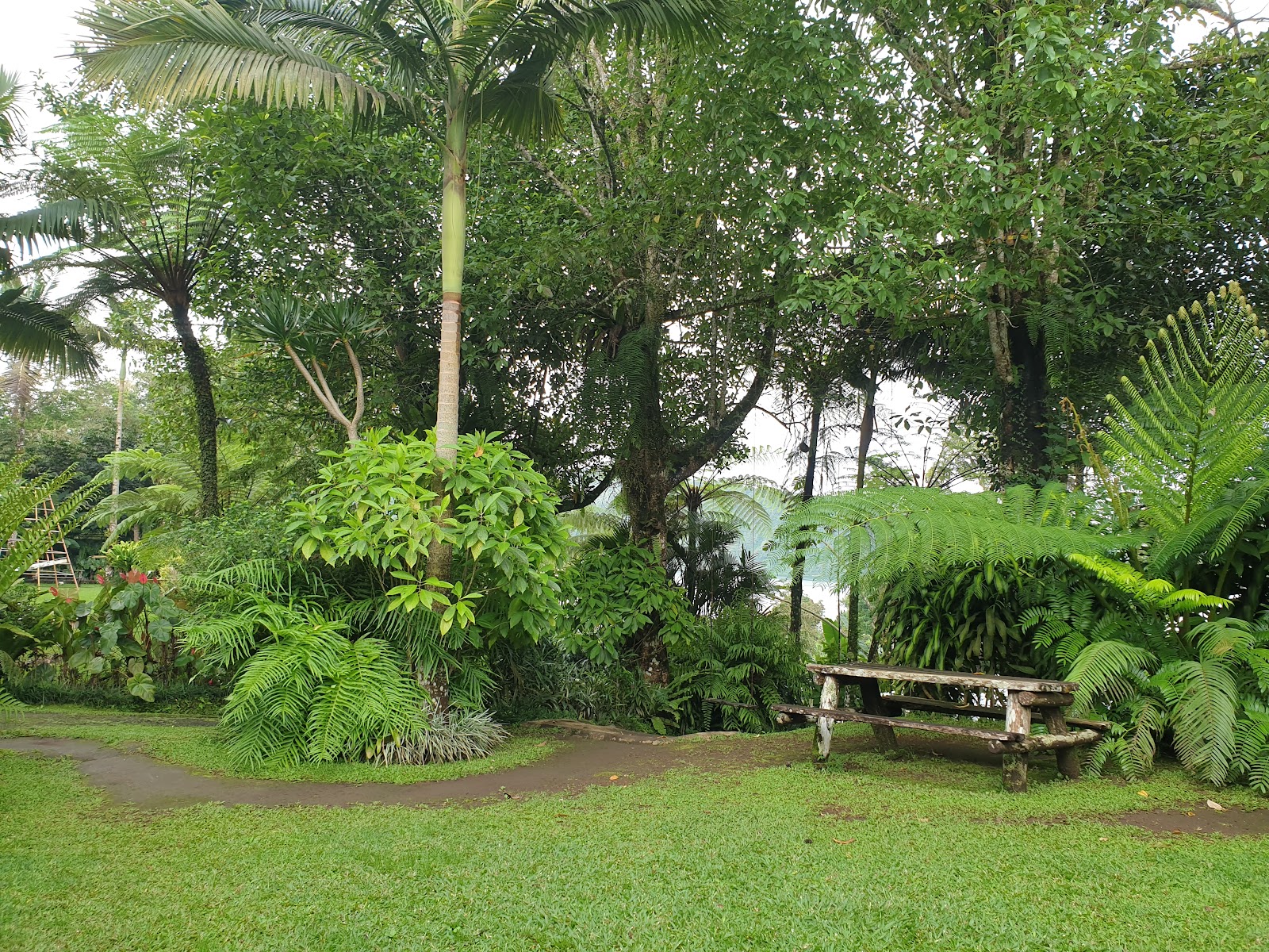 Warung Rekreasi Bedugul