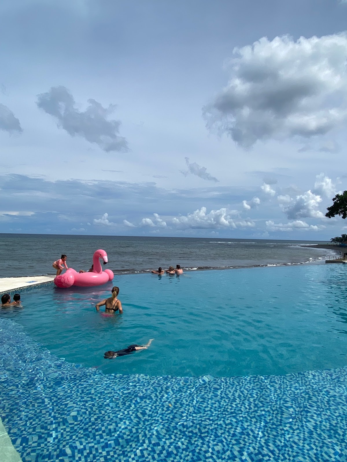 Beach club Flamingo Beach Club Bali 142832