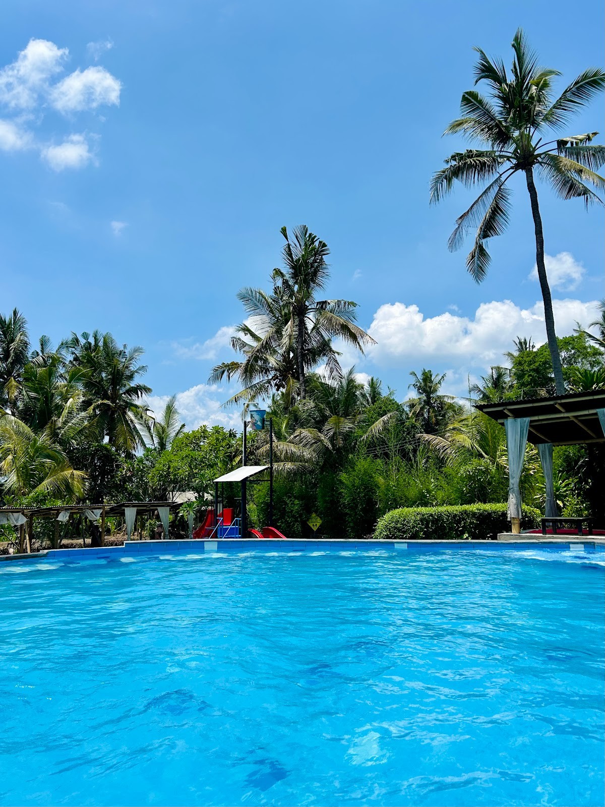 The Segara Seaview Pool Garden & Eatery