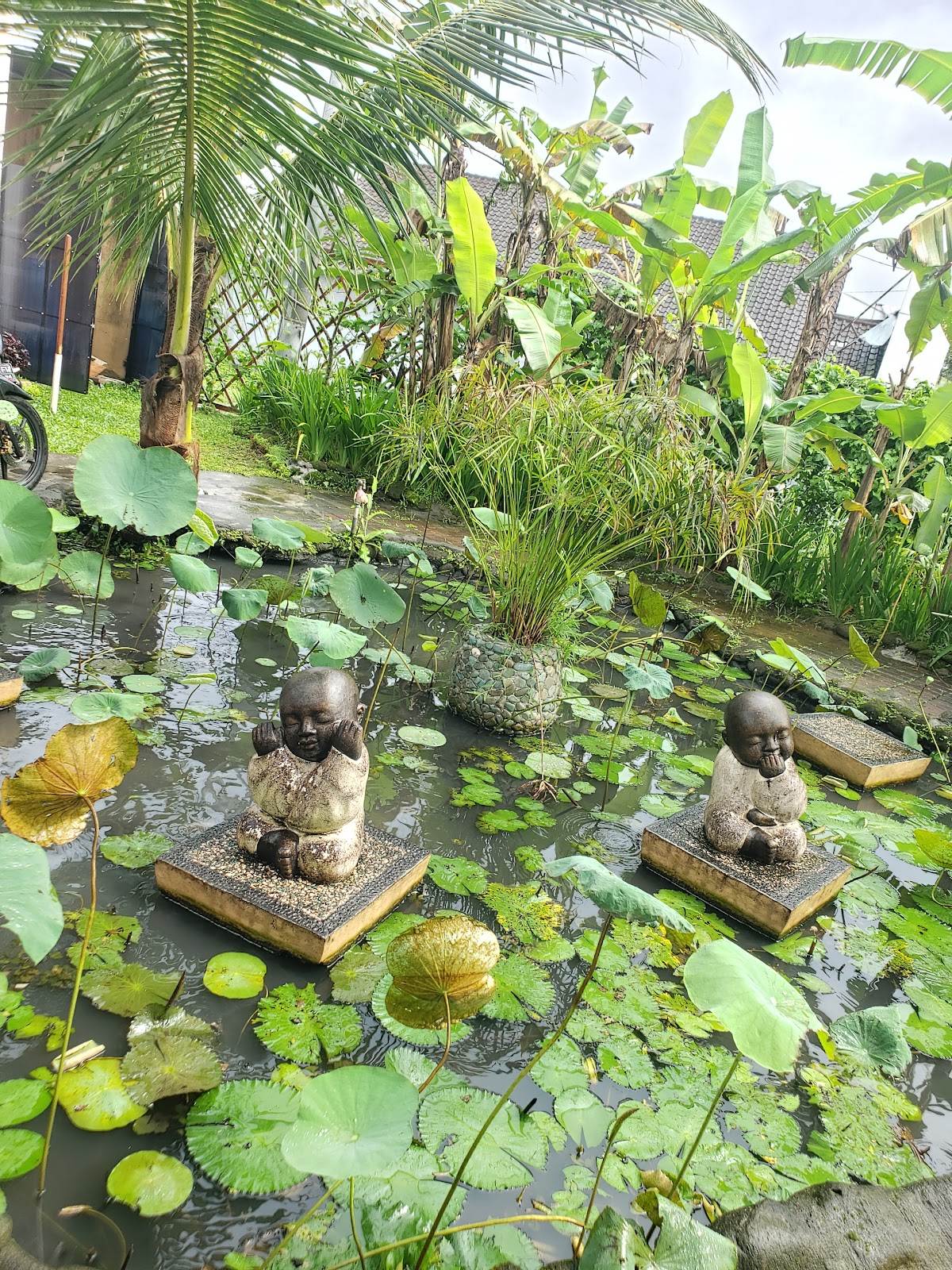 SPA Amati Spa Ubud 100397