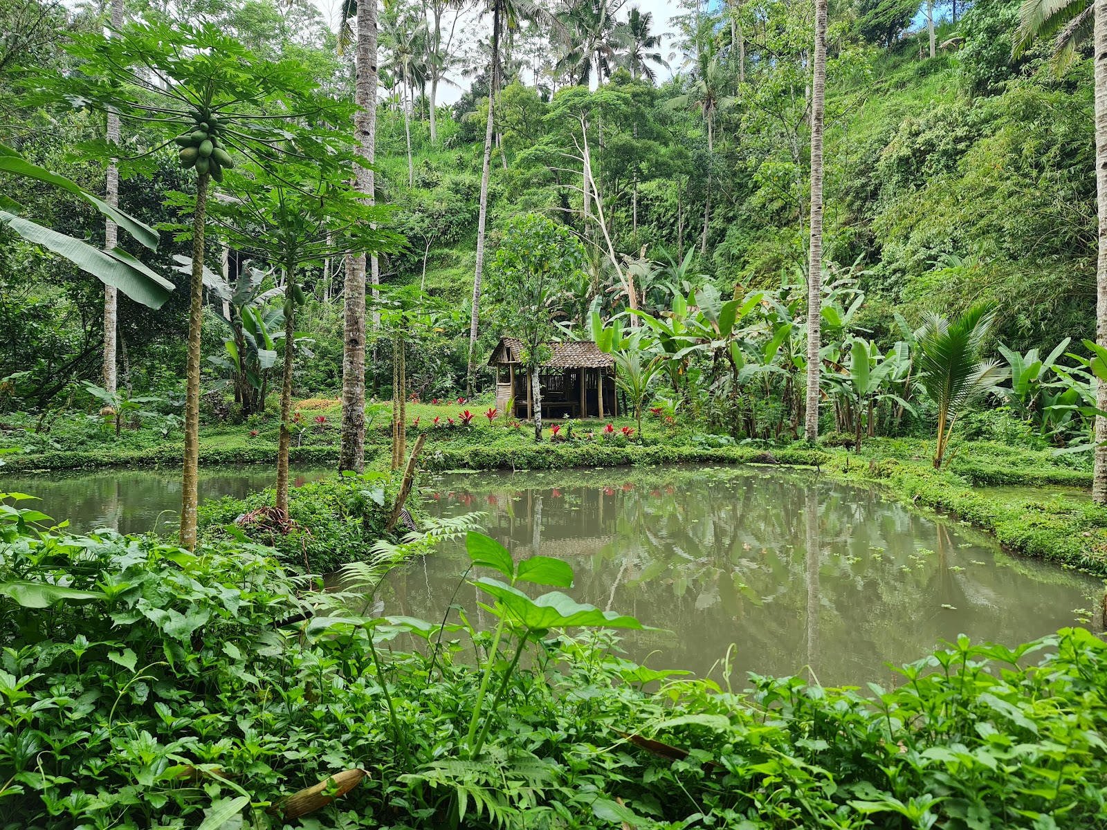 Tukad Cepung Waterfall