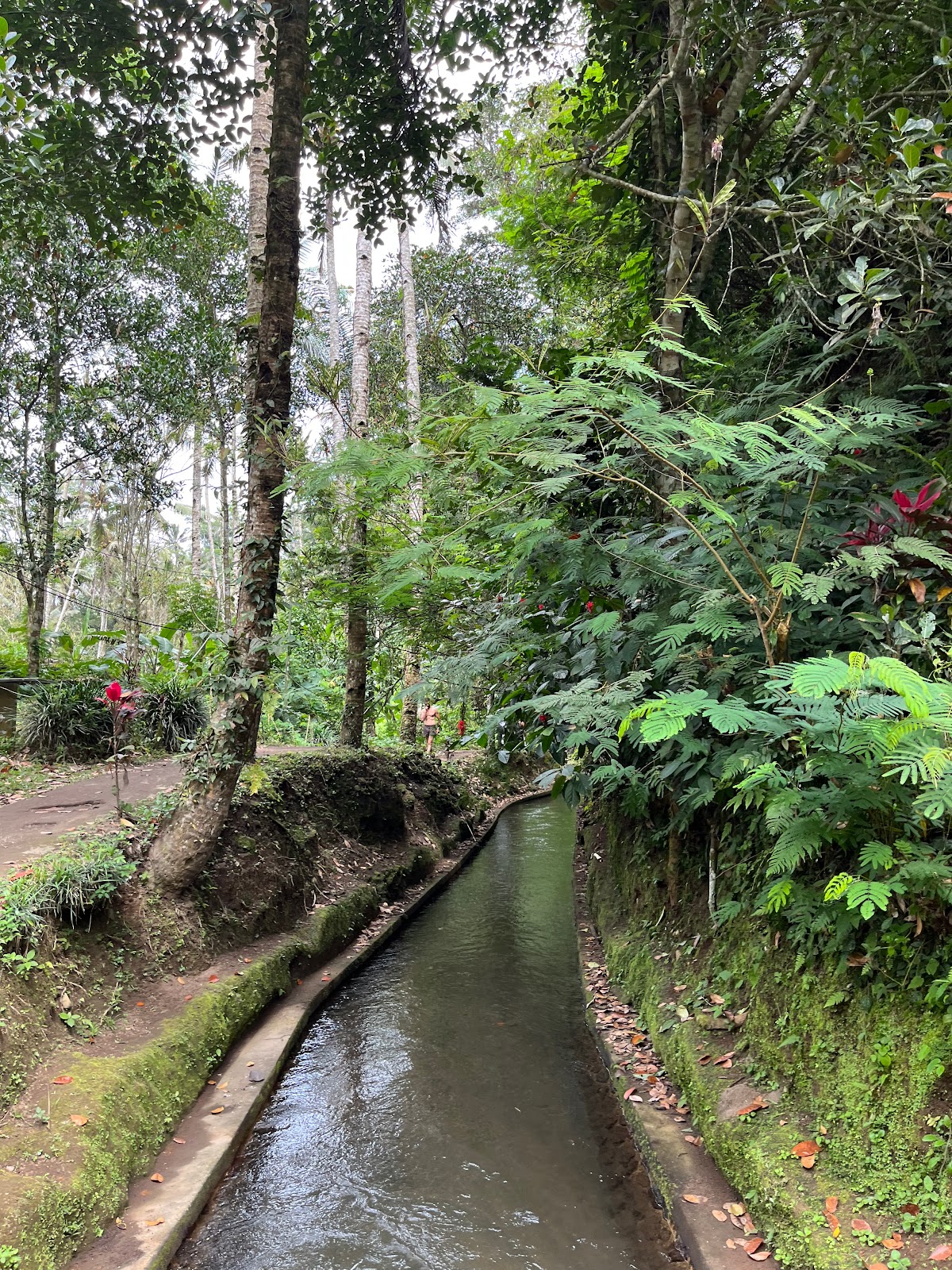 Tukad Cepung Waterfall