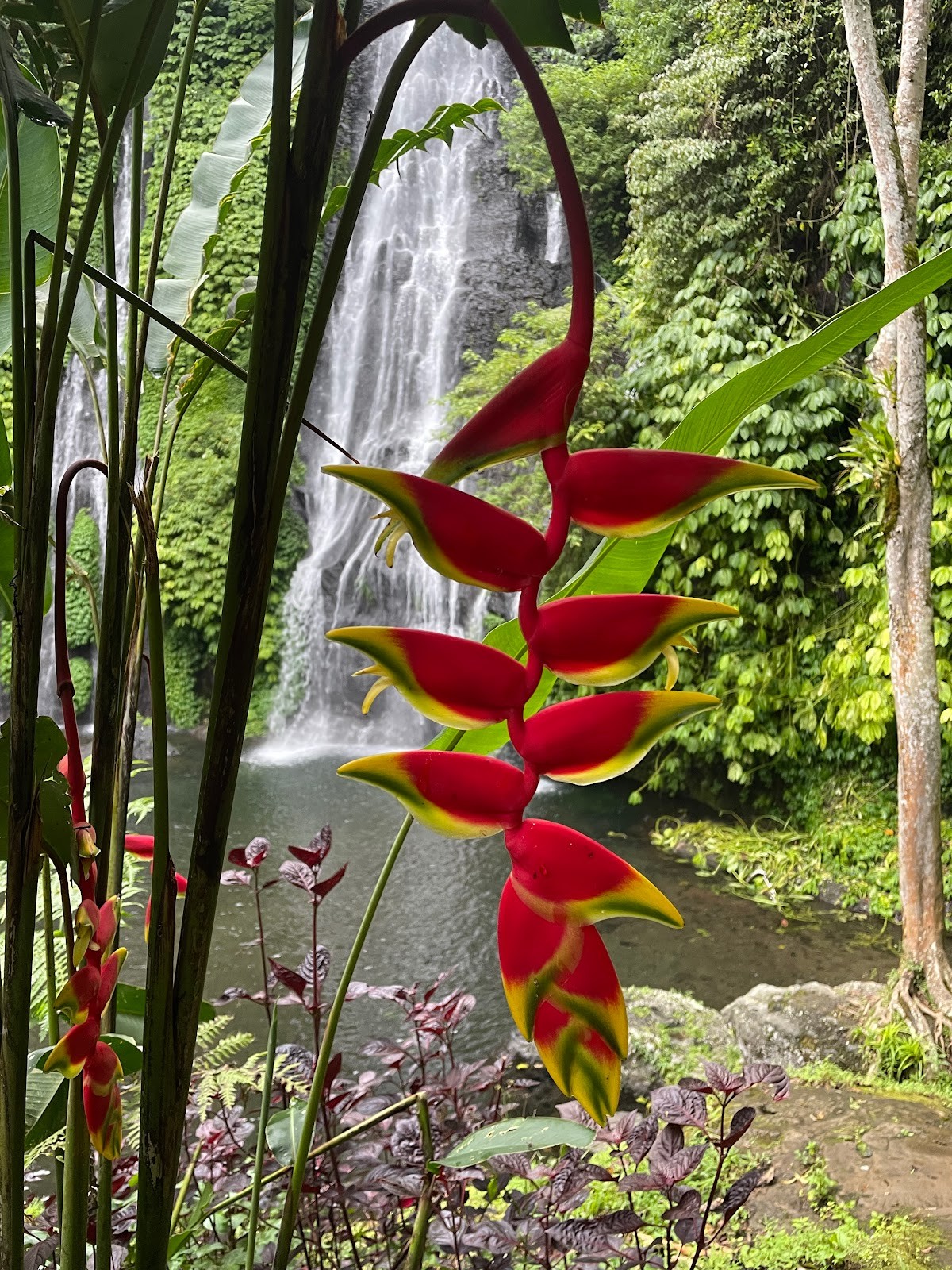 Banyumala Waterfall