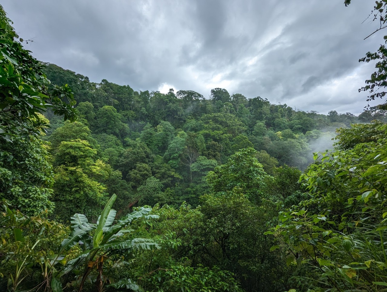 Banyumala Waterfall